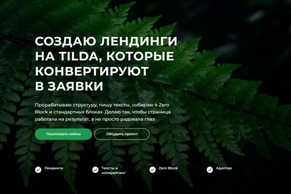Мой проект - это лендинг на Тильда. Я сделала его как свое портфолио. Зайдя на него, открывается возможность ознакомиться с другими моими проектами, перейти на них и изучить.