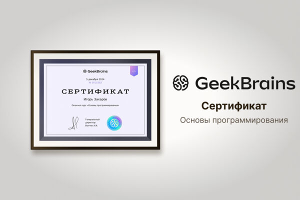 Сертификат Geek Brains "Основы программирования"
