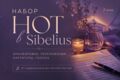 Набор нот в Sibelius. Быстро, аккуратно, с душой.