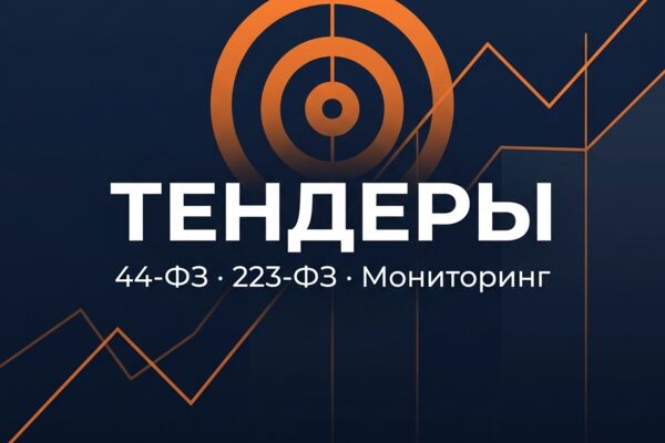 ТЕНДЕРНЫЙ МОНИТОРИНГ И СОПРОВОЖДЕНИЕ