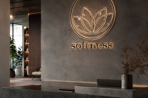 Фирменный стиль и айдентика SOFTNESS