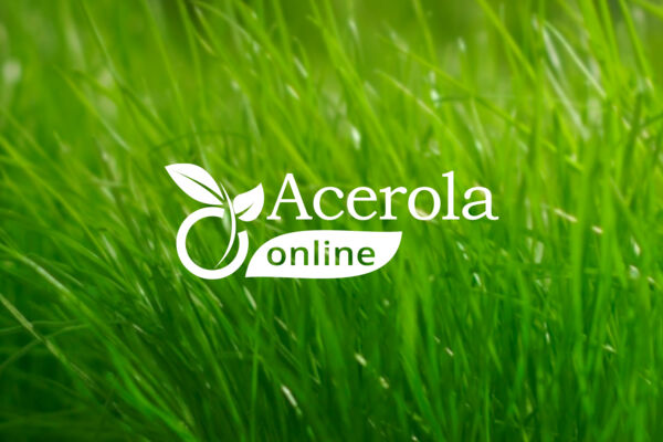 Acerola, создание логотипа, фирменного стиля и буклета