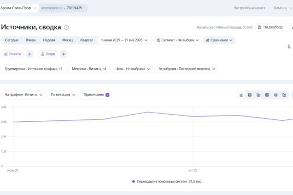 SEO-продвижение интернет-магазина профессиональной косметики АромаСтиль