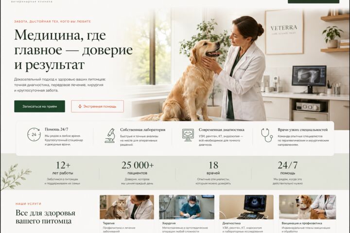 Разработаю кастомный сайт для бизнеса под ключ | 007-A