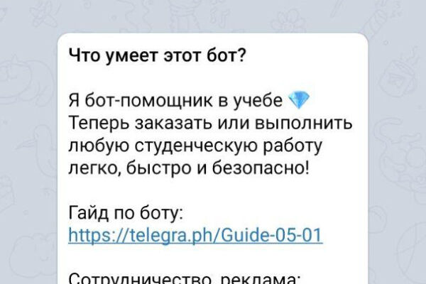 Шпаргалочка