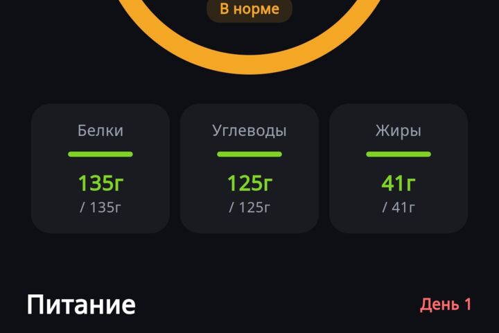 Разработаю мобильное приложение для Android на Flutter
