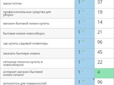 SEO продвижение магазина хозтоваров и профессиональной химии