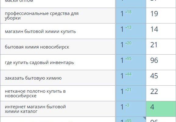 SEO продвижение магазина хозтоваров и профессиональной химии