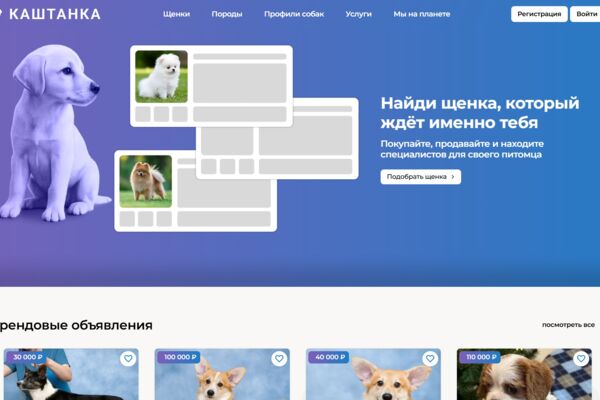 Разработка, верстка и техническая администрация сайта Kashtanka.by