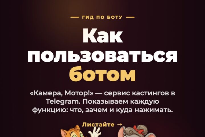 Сделаю бота для заявок и записи или скрипт автоматизации