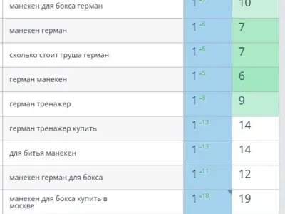 SEO продвижение сайта по продаже манекенов для бокса (герман)