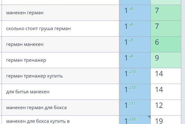 SEO продвижение сайта по продаже манекенов для бокса (герман)