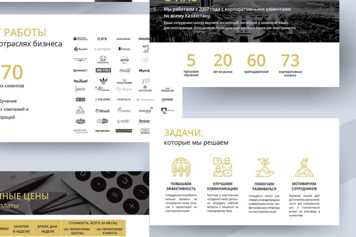 Экспресс-презентация за 24 часа (до 10 слайдов)