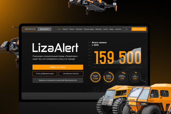 Сайт LizaAlert