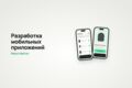 Разработка мобильного приложения для Android и iOS
