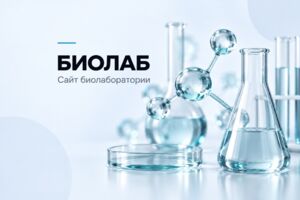 Вложение