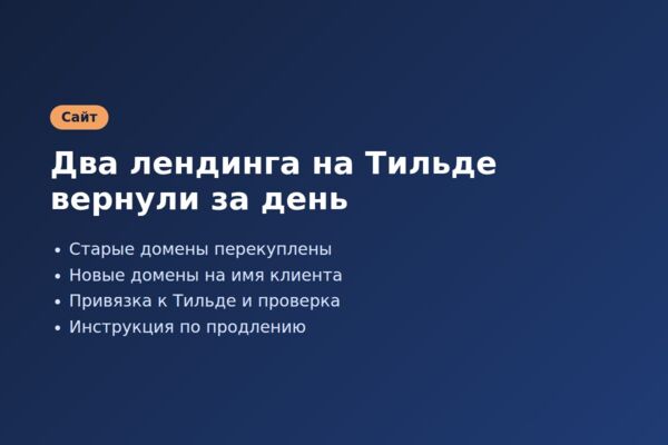 Регистрация и привязка новых доменов к двум лендингам на Тильде
