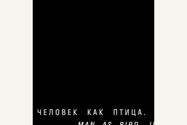 Каталог «Человек как птица» для ГМИИ им. Пушкина: вёрстка, 147 страниц, рус. / англ.