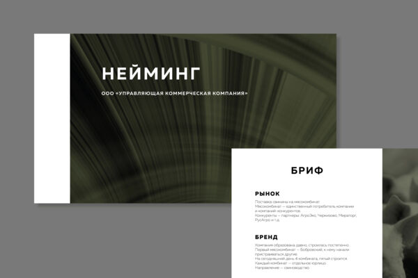 презентация
