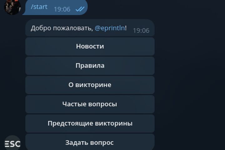 Telegram-бот для сбора заявок, анкет и уведомлений