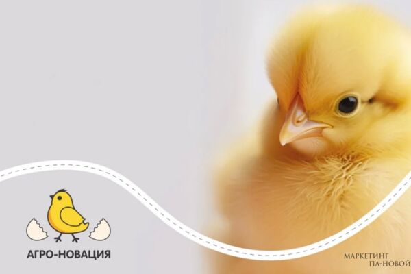 Бренд-платформа и фирменный стиль для агрокомпании «Агро-Новация»