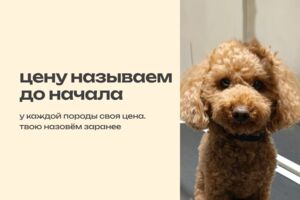 Вложение