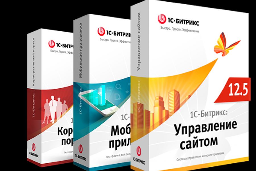 Разработка сайта на Битрикс 30 000 руб. за 5 дней.. Норайр Петросян