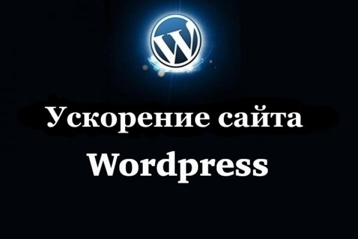 Ускорение сайта Wordpress по Google PageSpeed Insights - 971164