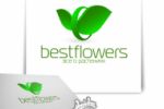 Bestflowers