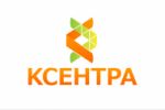 Принятый вариант логотипа для компании Ксентра