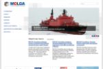 Molga Consulting