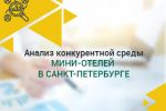 Анализ конкурентной среды мини-отелей в Санкт-Петербурге