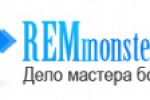   RemMonster