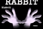 Biskvit - Rabbit (Kurbanov aka Lesha Speedy Remix)