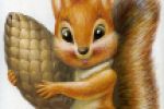 squirrel\gouache