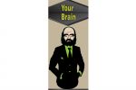       Your Brain