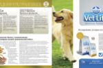 Team Breeder brochure canine