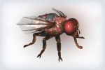 Модель и анимация мухи для игры SZone Online 