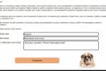 Программа авторазмещения отзывов о ветеринарной клинике