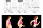 Эволюция снижения веса