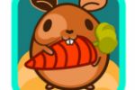 Hamster_for_Netigen