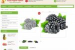 http://www.liderfrukt.com.ua/
