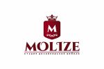 Нейминг+лого MOLIZE Реализовано