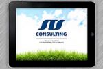 STS Consulting. 
