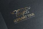 Elephant Tour