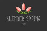 Slender Spring