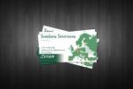 ESTIEM SPb visit card