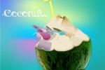 Coconut