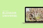 Web desing for Blossom Universe