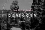 Cosmos Room